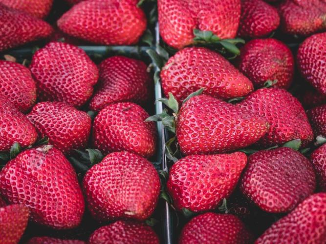 et necessitatibus odio