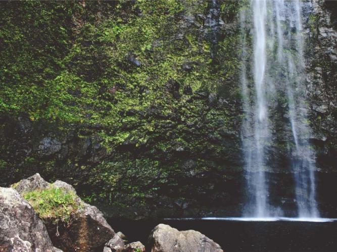 aliquid voluptas dolorum